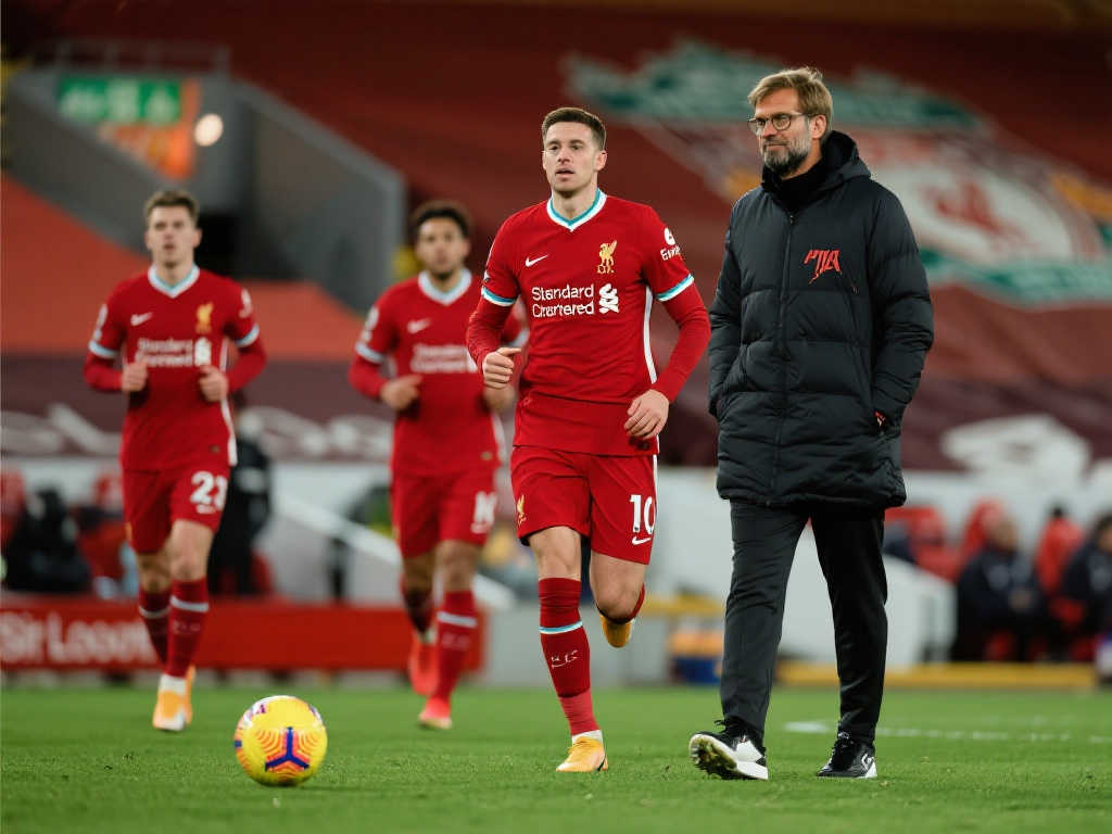 有力的支持 有力的支持