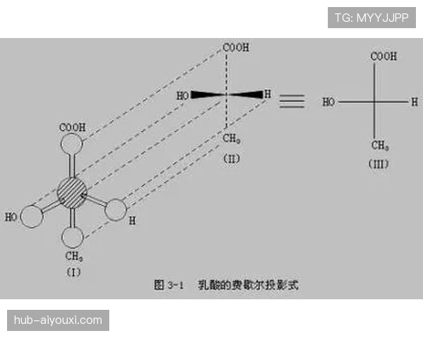深入解读篮球裁判判罚流程的规则定义与具体执行标准